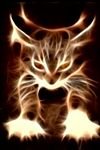 pic for Burning Cat 